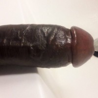 belle bite de black large de Bordeaux 